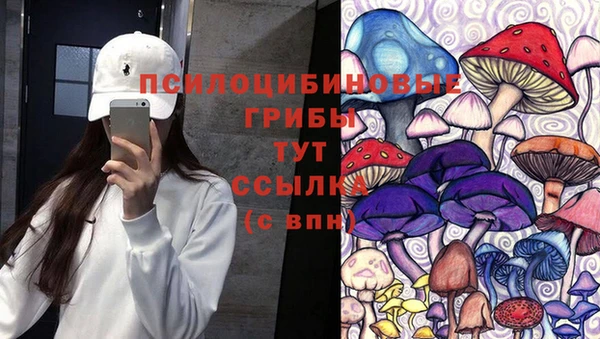 амф Богородицк