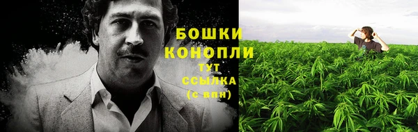 амф Богородицк