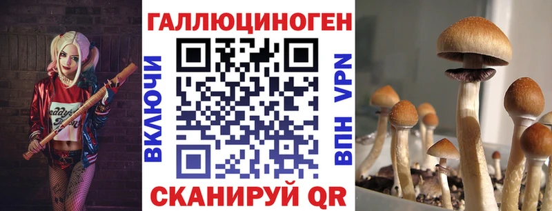 Купить Миллерово Псилоцибиновые грибы прущие грибы